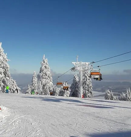 U Pošty Apartamento Jáchymov